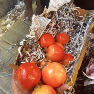Nashik Fresh 12dana Pomegranate – Juicy, Sweet & Deep Red | 10kg Box